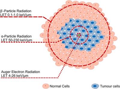 Terbium sisters: current development status and upscaling opportunities